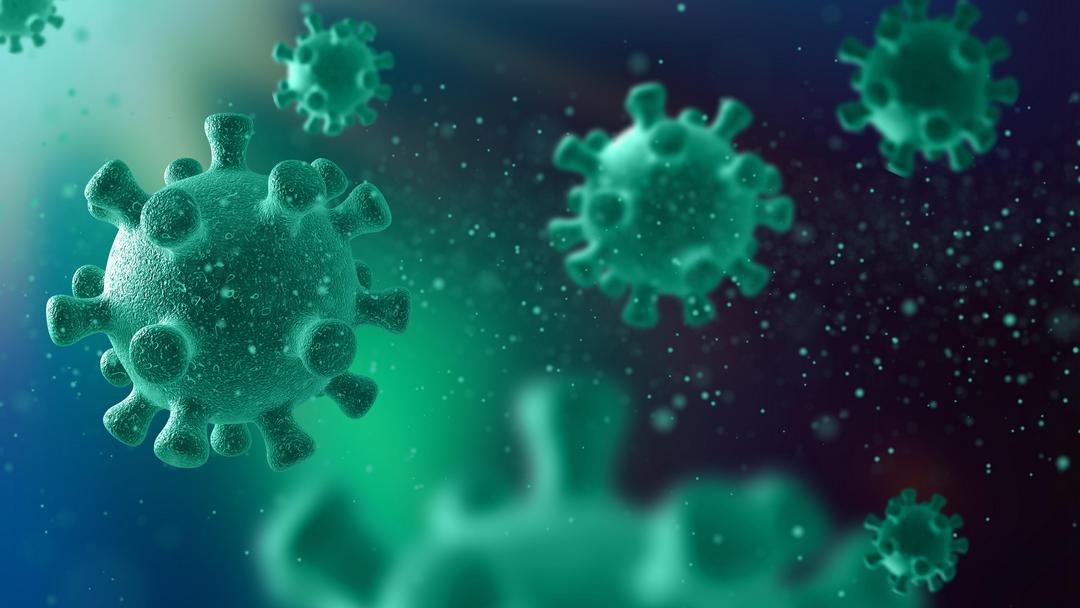 Kemenkes Minta Perhatikan Kesehatan Lingkungan Setelah 5 Anak Meninggal Akibat Flu Babi